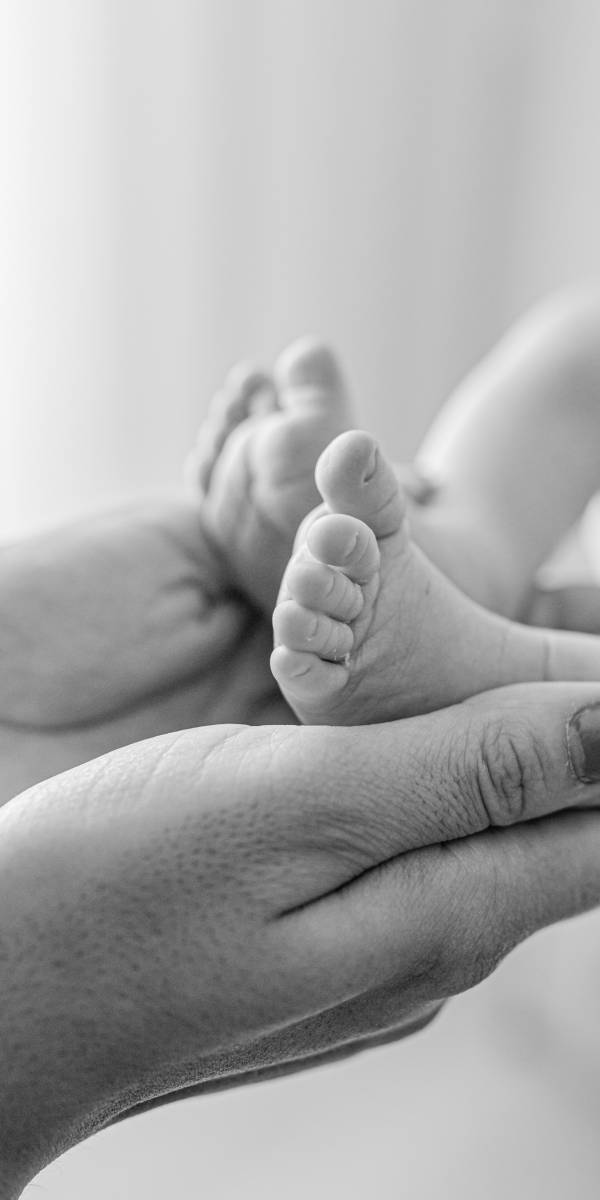 HelloWorld_Dinis (20).jpg